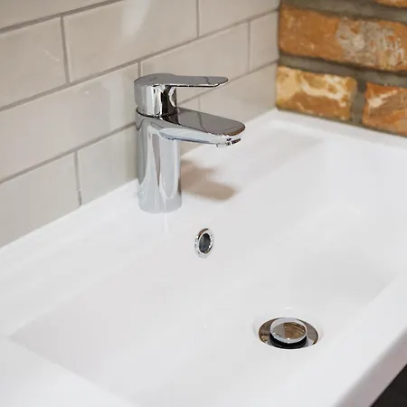 Barn Owl 斯卡伯勒