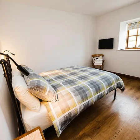 Barn Owl * Scarborough