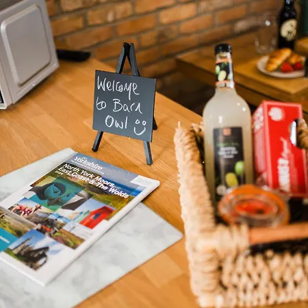 Barn Owl * Scarborough