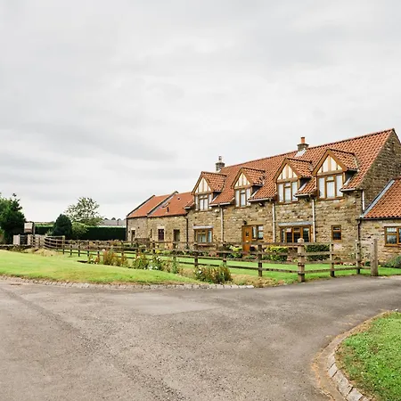 Barn Owl 스카버러