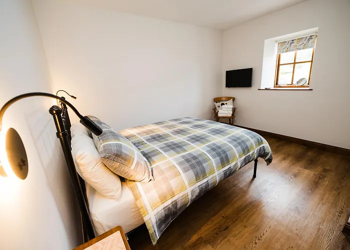 Barn Owl * Scarborough