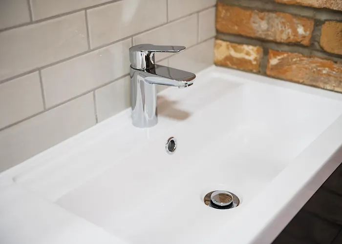 Barn Owl Scarborough