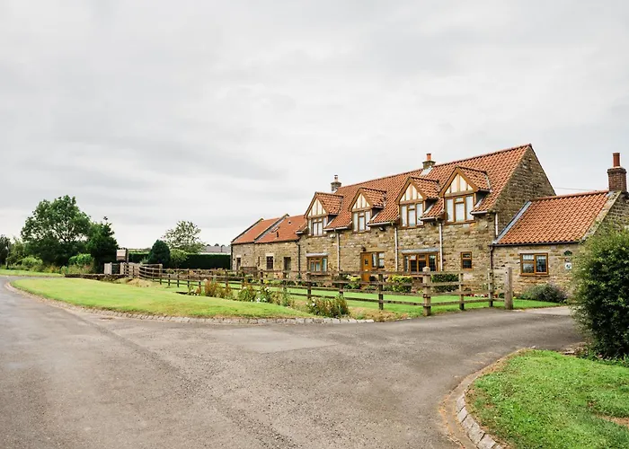 Barn Owl Scarborough